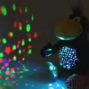 Sternenlicht „Der kleine Rabe Socke