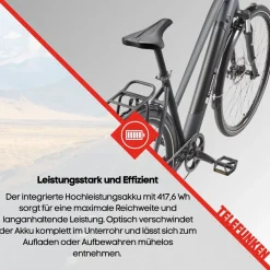 Telefunken Trekking E-Bike | Elektrofahrrad 28 Zoll | 8-Gang Kettenschaltung | Heckmotor 250W | 417,6Wh Akku | Pedelec XT490 Damen