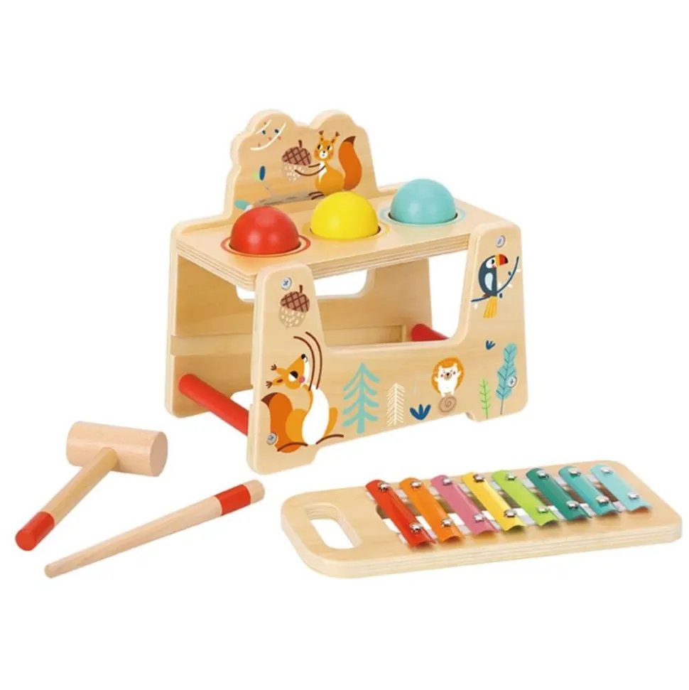 Tooky Toy Kinder Musikspielzeug 2 in 1 Xylophon Hammerspiel TF827 Holz 7-tlg. bunt