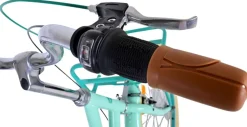 TPFSports Excellent Kinderfahrrad - Mädchen - 26 Zoll - 3 Gänge - Rücktritt + Handbremse - Grün
