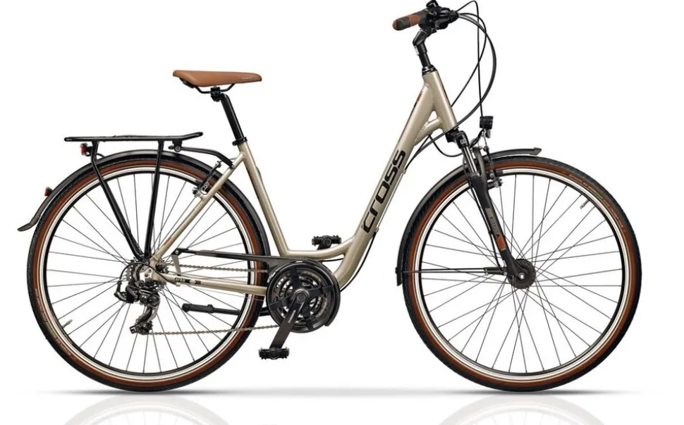 Trekkingbike ARENA LOW STEP 28 Zoll