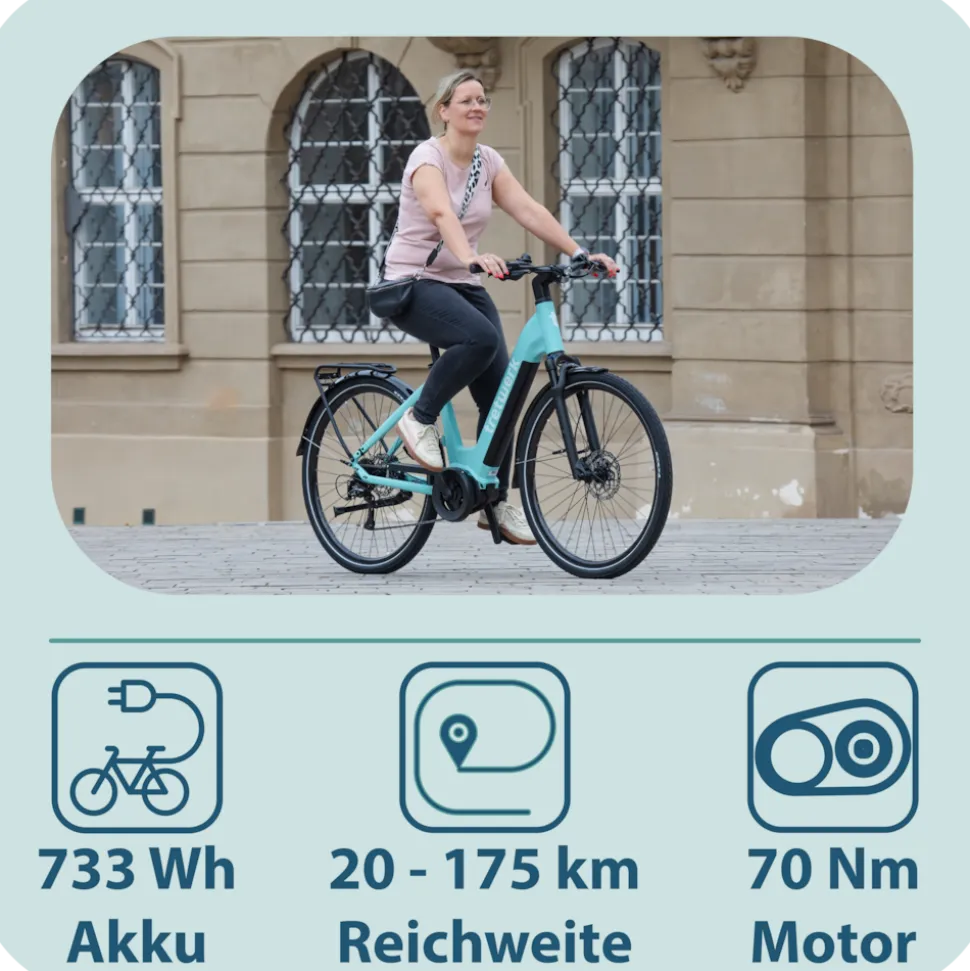 Tretwerk Amber E Bike Damen 28 Zoll Elektrofahrrad 155 - 185 cm Hollandrad Tiefeinsteiger mit 9 Gang Schaltung