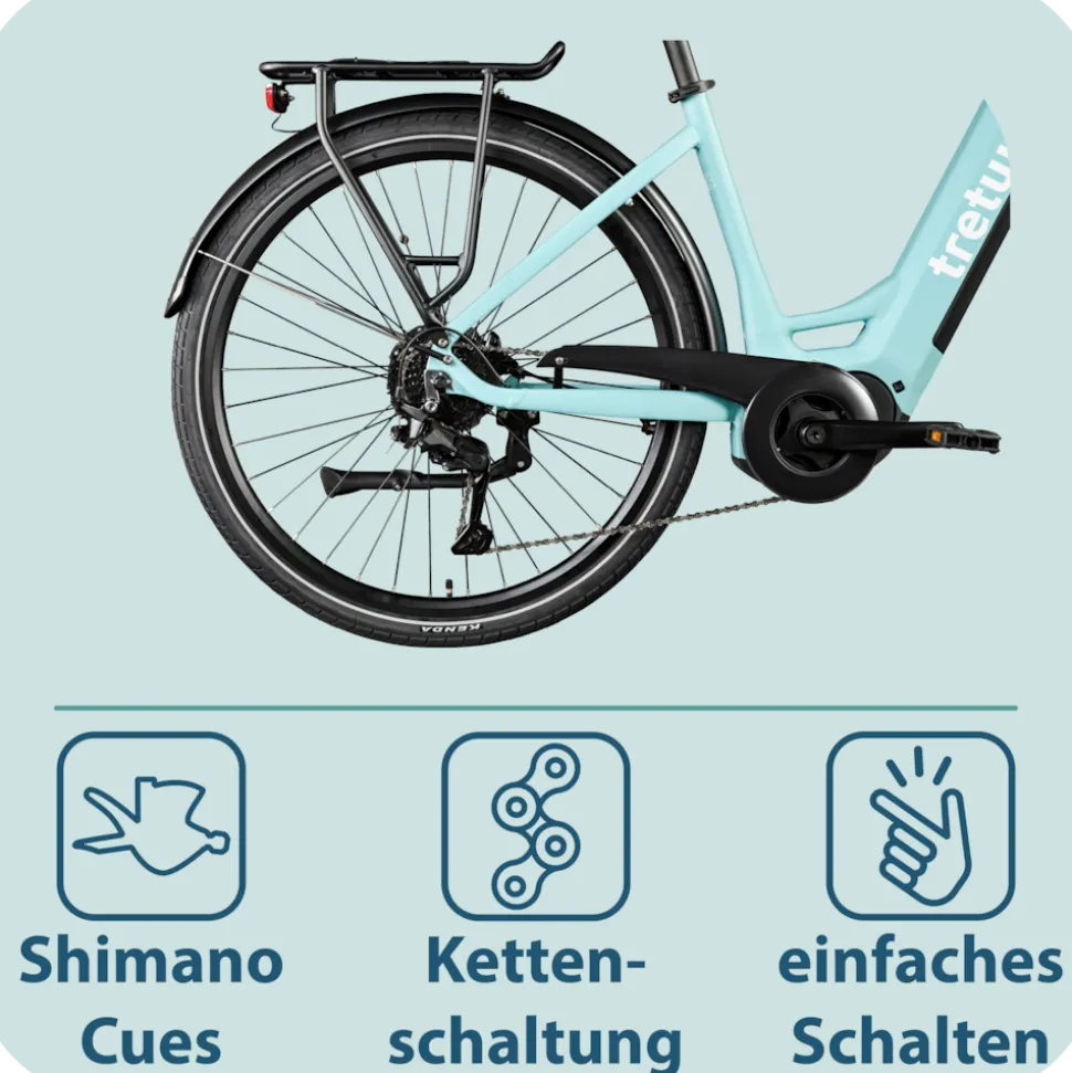 Tretwerk Amber E Bike Damen 28 Zoll Elektrofahrrad 155 - 185 cm Hollandrad Tiefeinsteiger mit 9 Gang Schaltung