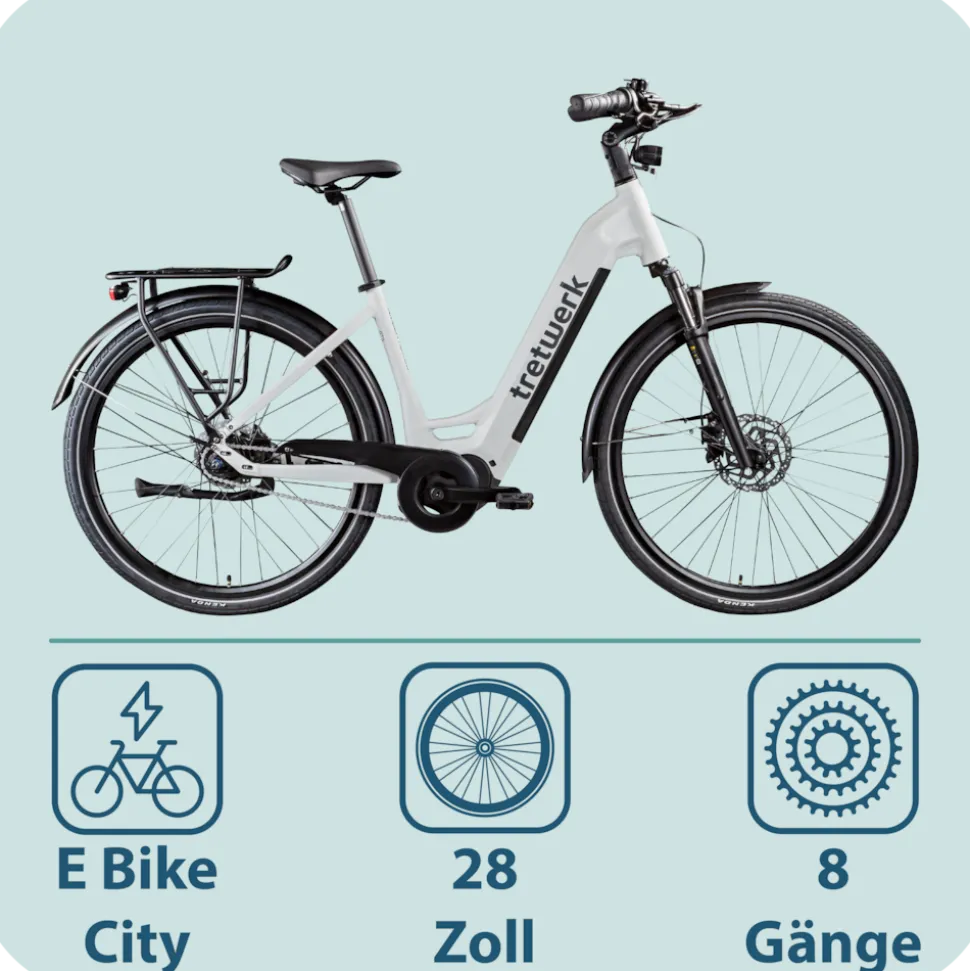 Tretwerk Amber Nexus E Bike Damen 28 Zoll Elektrofahrrad 155 - 185 cm Hollandrad Tiefeinsteiger mit 8 Gang Nabenschaltung