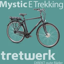 Tretwerk Mystic E Bike 28 Zoll Pedelec 170 - 190 cm Herrenrad Trekking Elektrofahrrad mit Nabenschaltung City E Fahrrad
