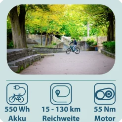 Tretwerk Onyx E Bike Trekkingrad ab 165 cm Elektrofahrrad 550 Wh Pedelec Trekking Rad Fahrrad mit 8 Gang und Beleuchtung StVZO