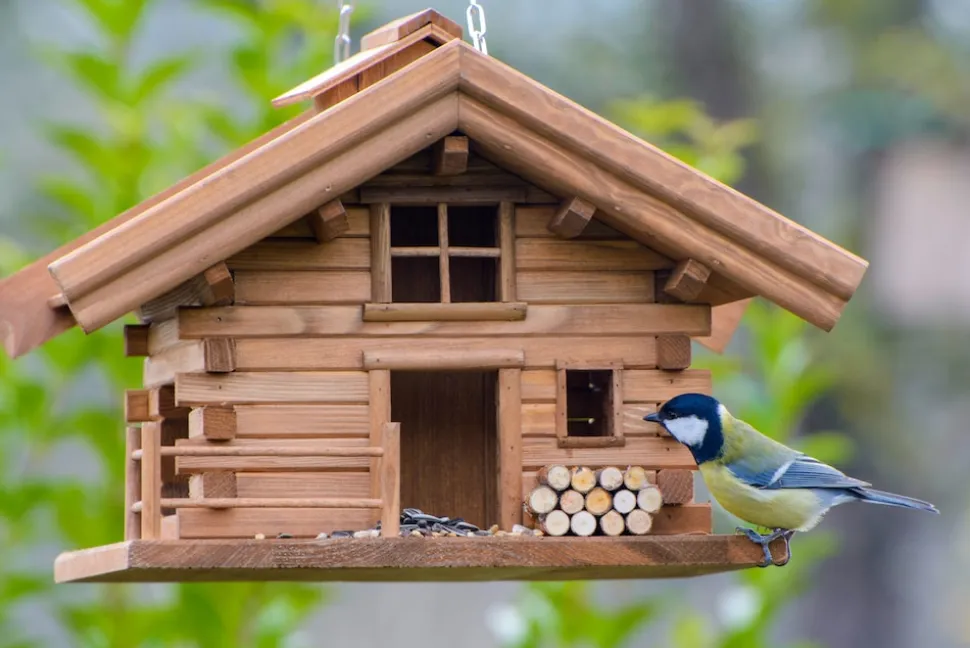 Vogelfutterhaus | versch. Ausführungen