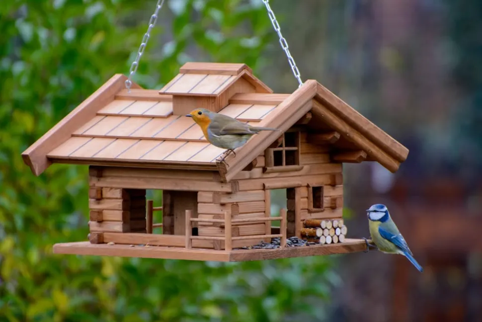 Vogelfutterhaus | versch. Ausführungen