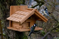 Vogelhaus kiefer | versch. Ausführungen
