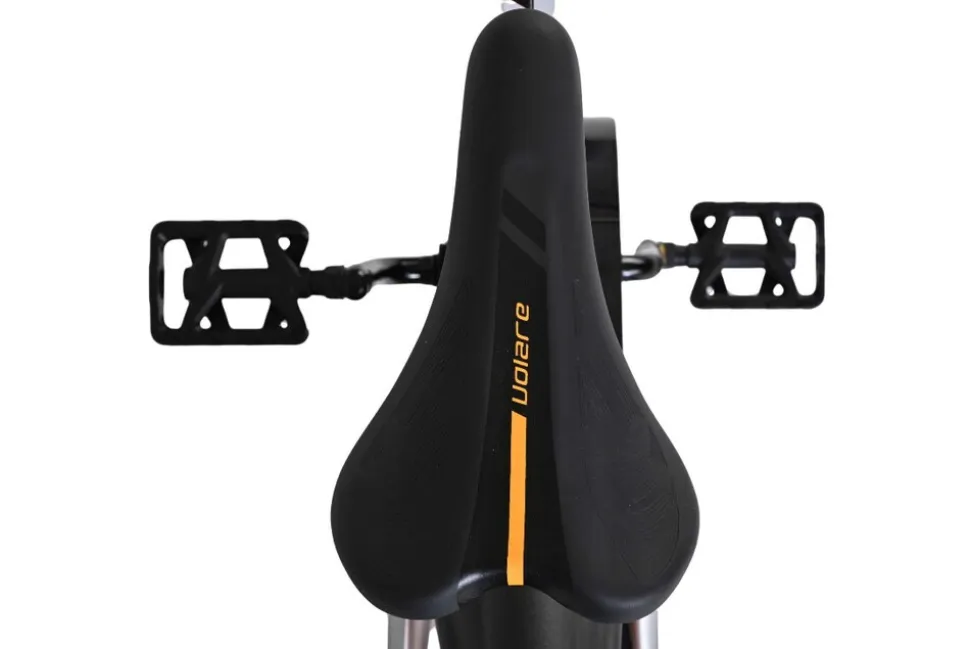 VOLARE Kinderfahrrad Rocky 14 Zoll, grau