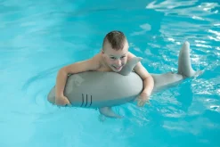 Westmann Pool Buddy versch. Ausführungen