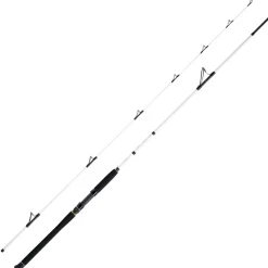 WFT Coastal Jigger Salzmeister 2,75m 40-160g Meeresrute 2-Teilig