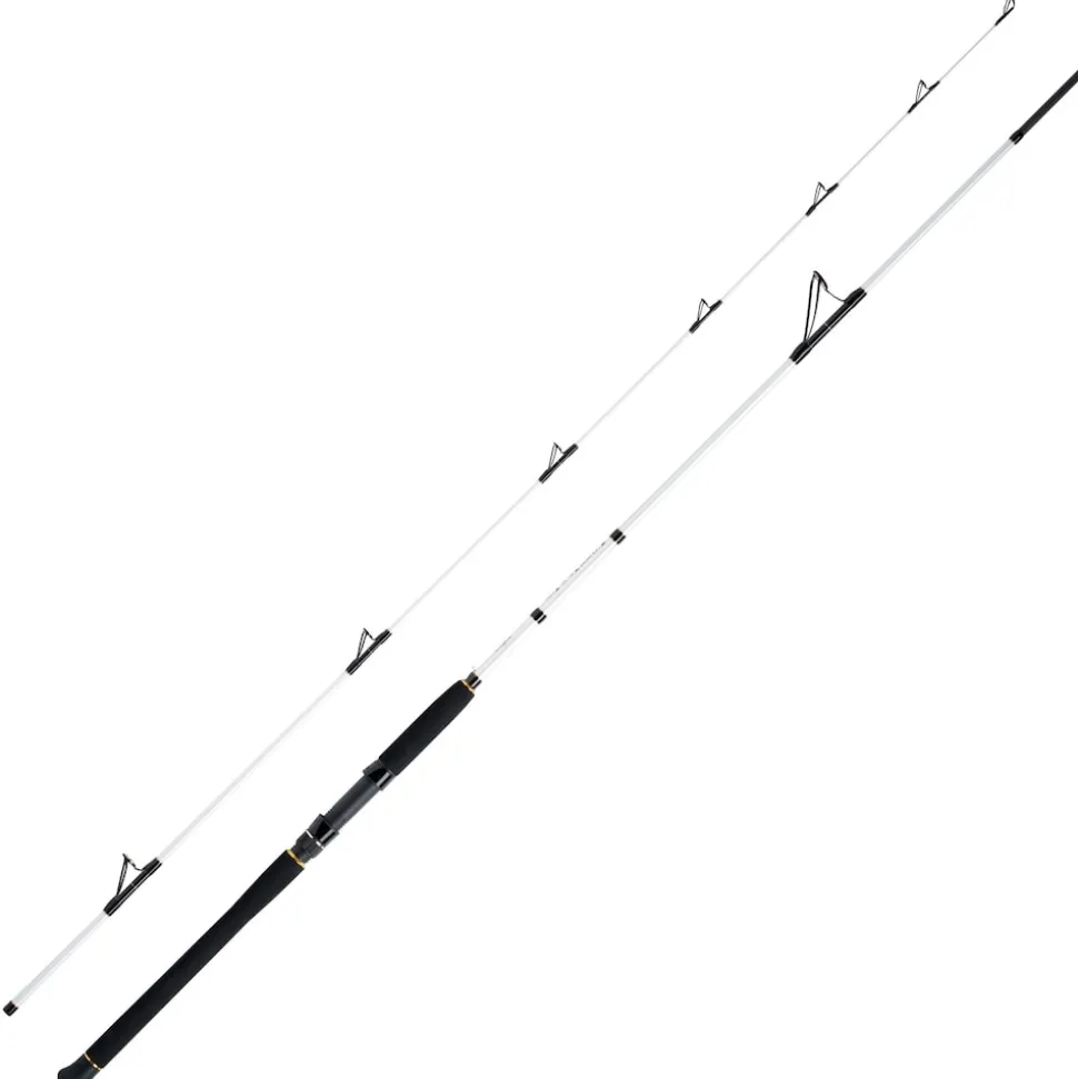 WFT Coastal Jigger Salzmeister 2,75m 40-160g Meeresrute 2-Teilig