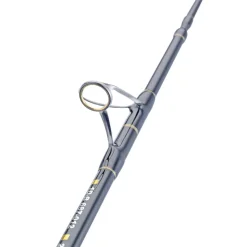 WFT Cool Sea Special Fjord 2pc. 2,10m 42lbs 50-420g Meeresrute