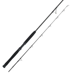 WFT Cool Sea Special Fjord 2pc. 2,10m 42lbs 50-420g Meeresrute
