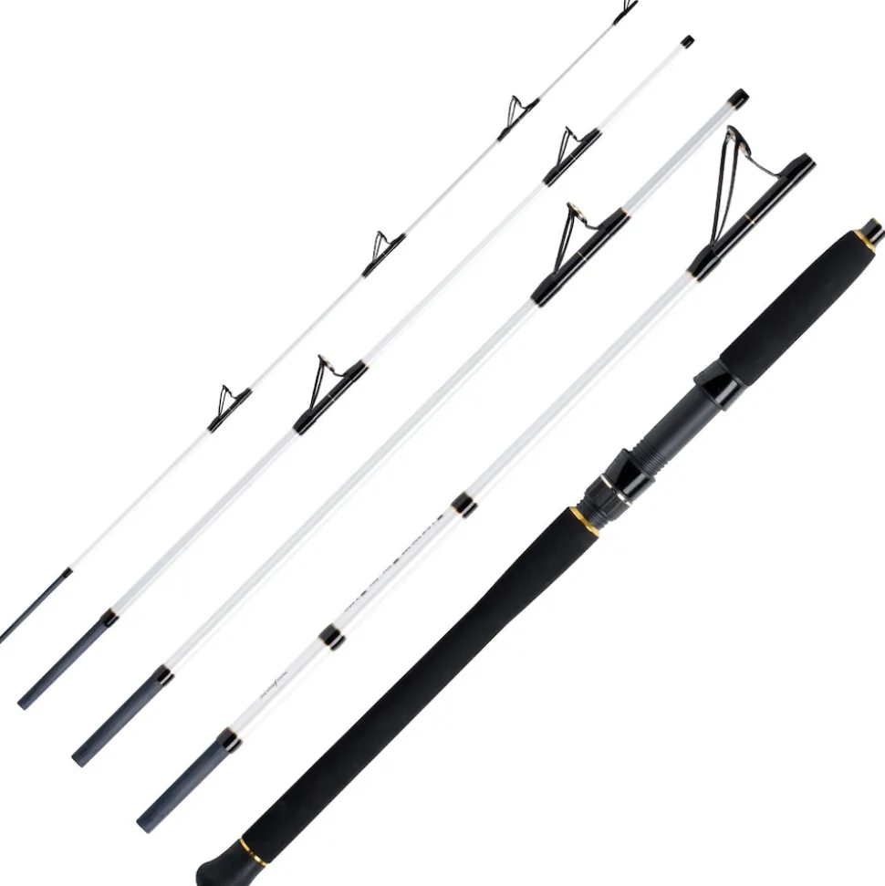 WFT Pollack Jigger Salzmeister 2,65m 20-90g Reiserute 5-Teilig