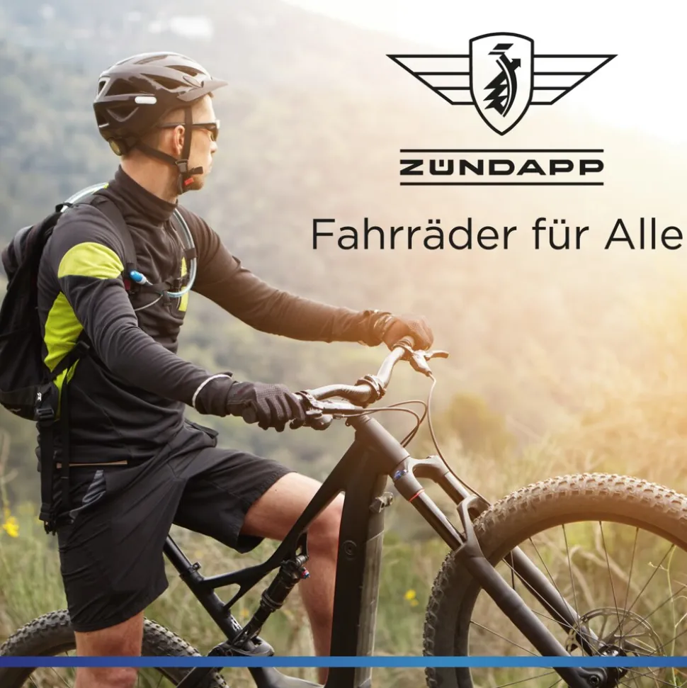 Zündapp Z505 E Bike Damen 28 Zoll Pedelec 160 - 185 cm 6 Gang Damenfahrrad E Fahrrad Hollandrad mit Licht