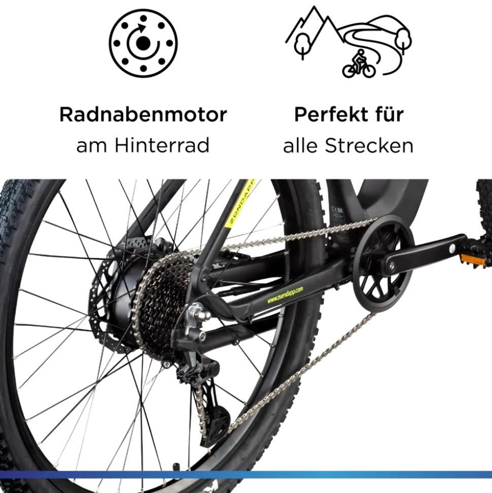Zündapp Z808 E Bike Mountainbike 29" für Herren ab 160 cm Pedelec 10 Gang Elektrofahrrad 540Wh Scheibenbremsen